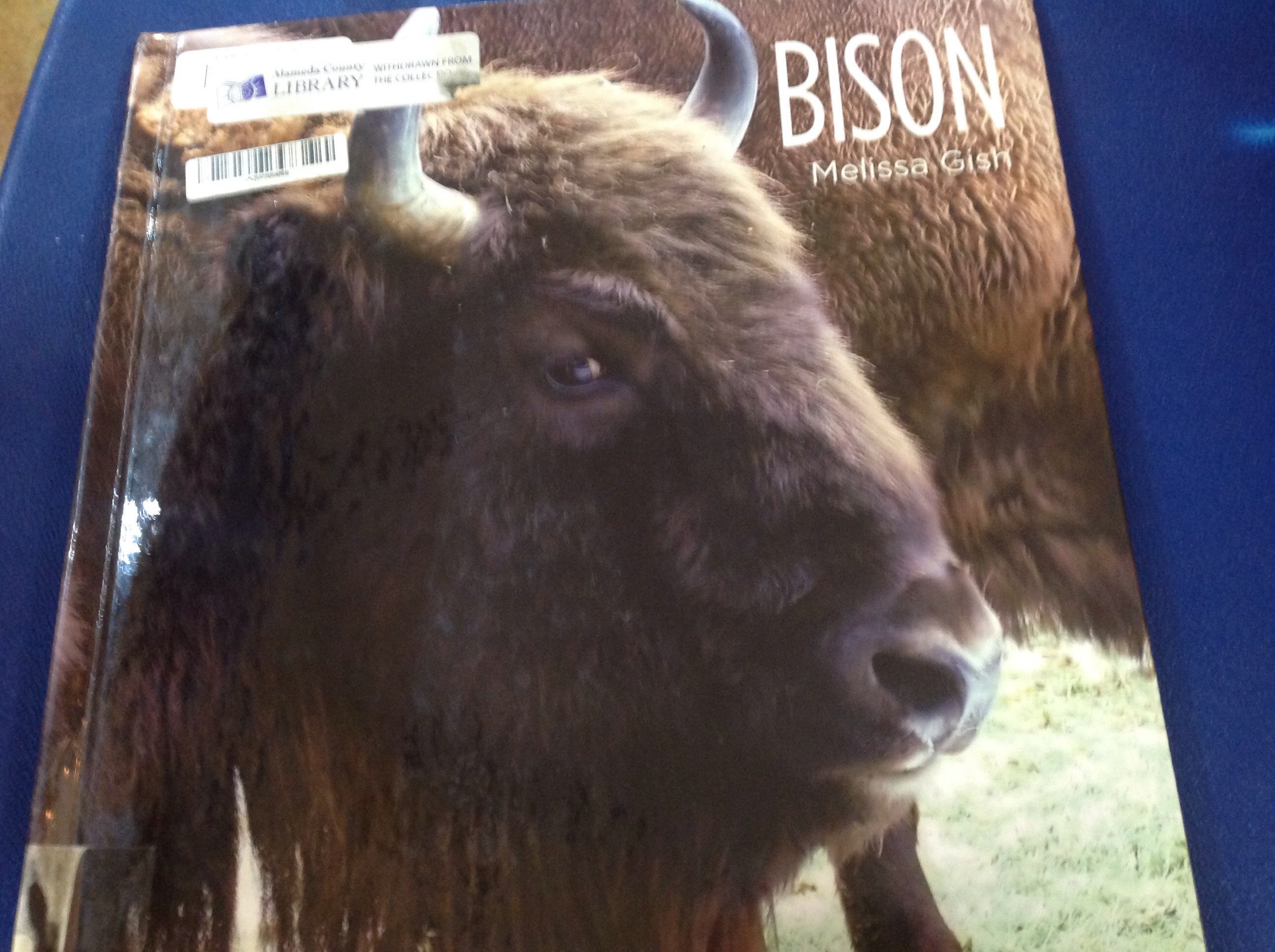 BOOKS - Living Wild: Bison