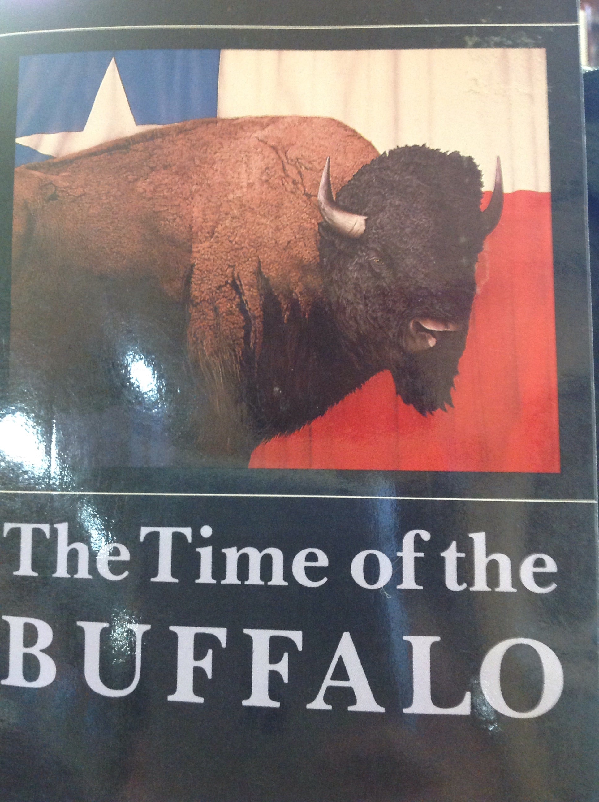 BOOKS - The Time of the Buffalo