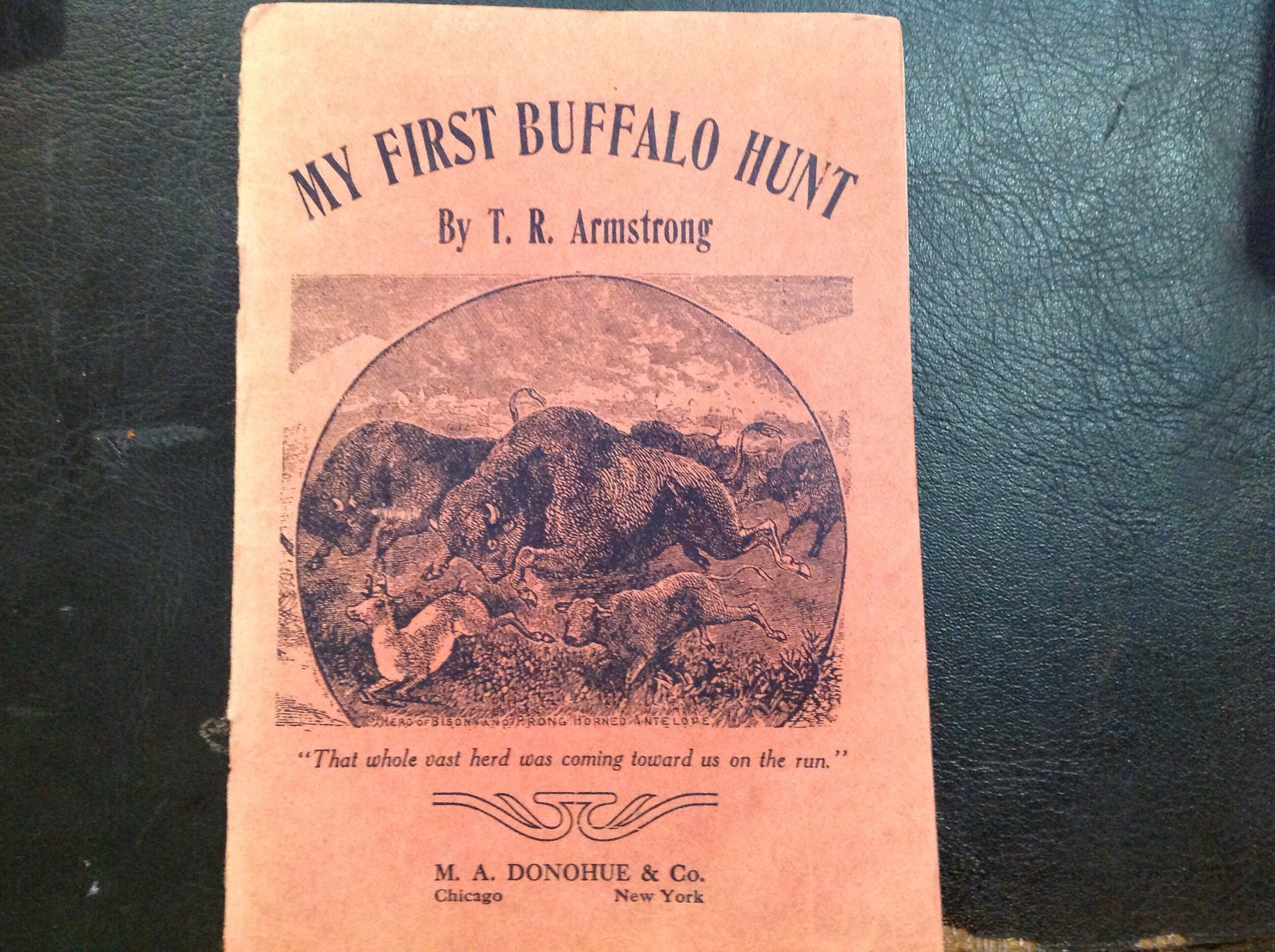 BOOKS - My First Buffalo Hunt