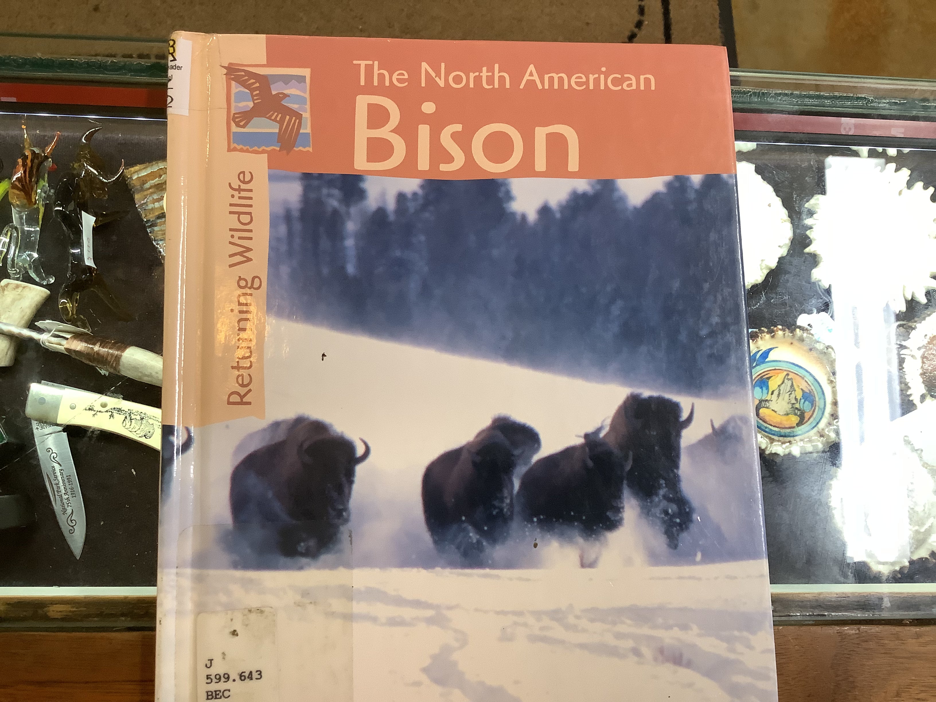 BOOKS - The North American Bison - Returning Wildlife