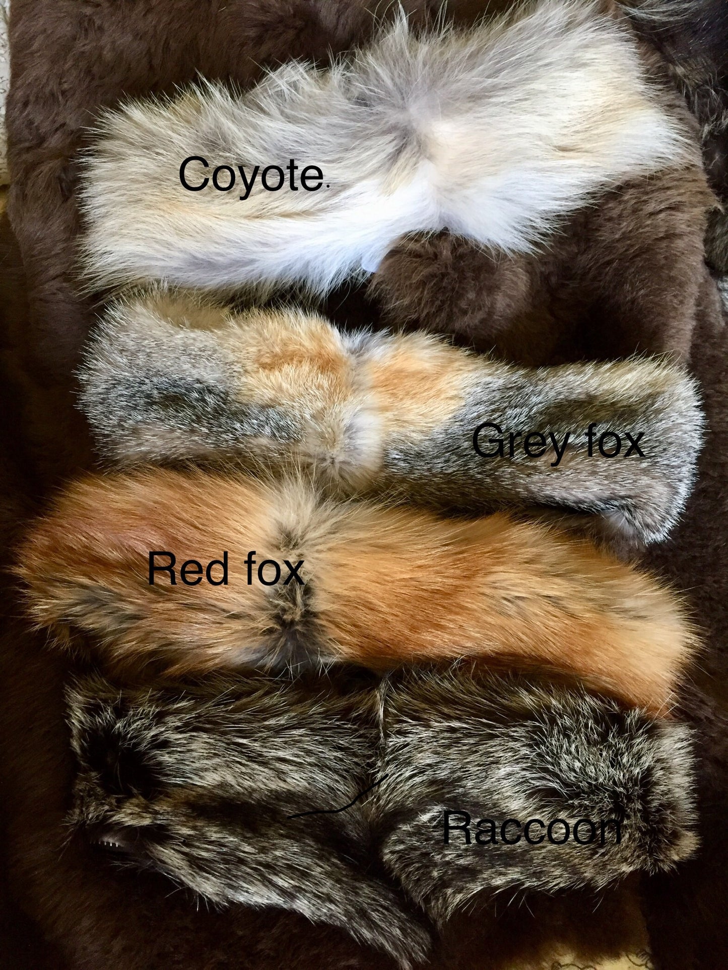 Vinson Furs  - Ear Muffs, Headbands and Boot Toppers