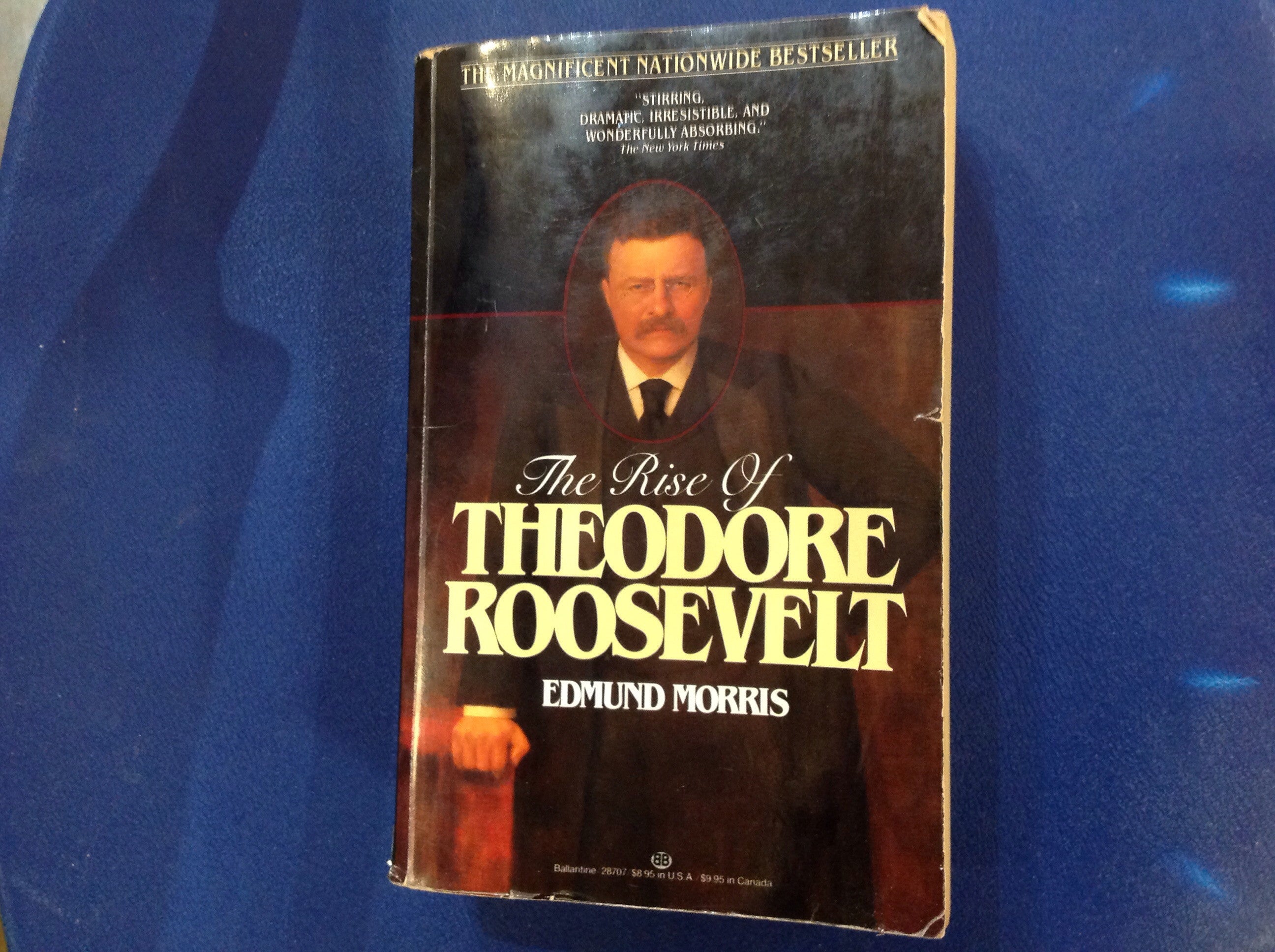 BOOKS - The Rise of Theodore Roosevelt