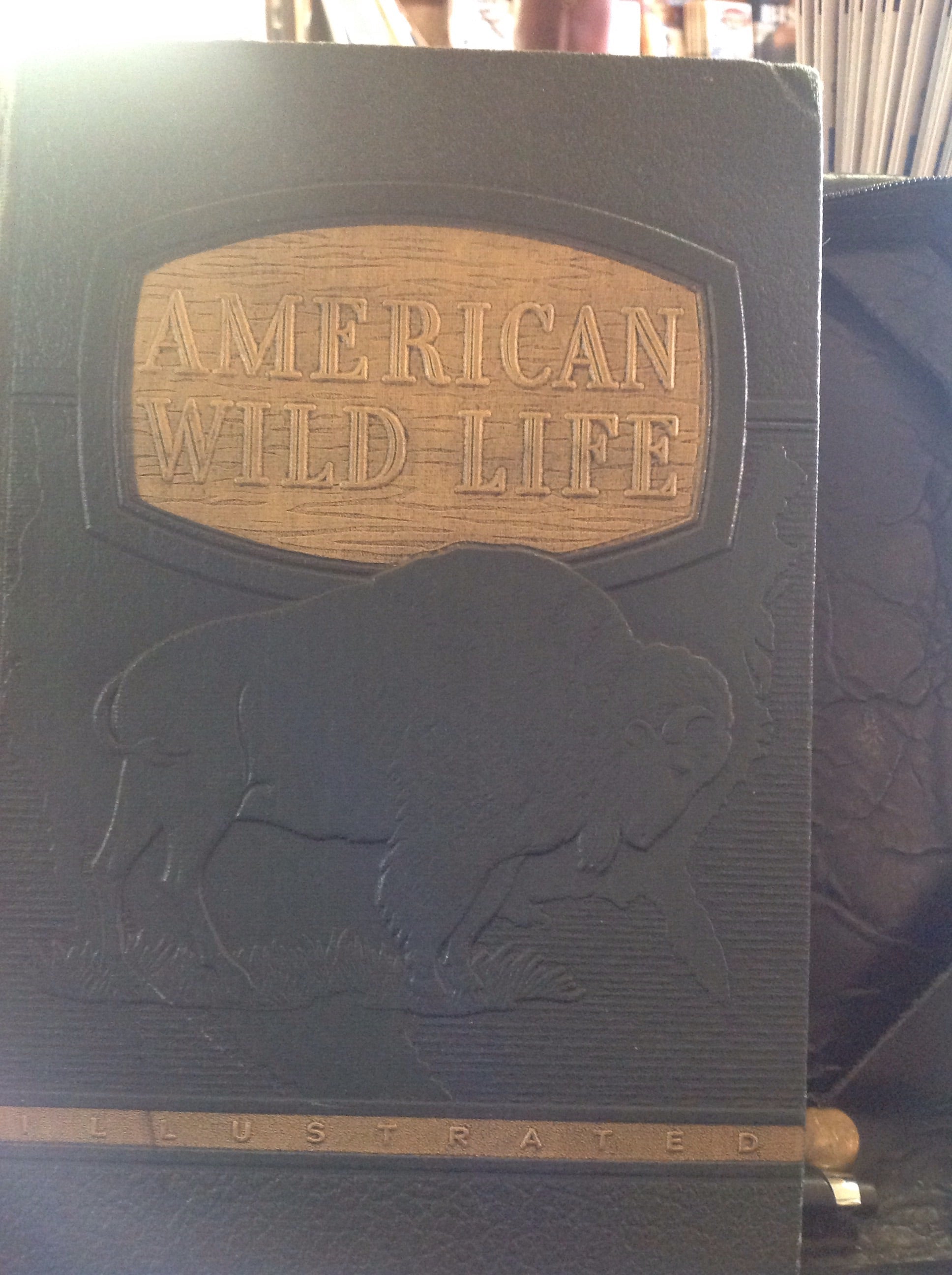 BOOKS - American Wild Life