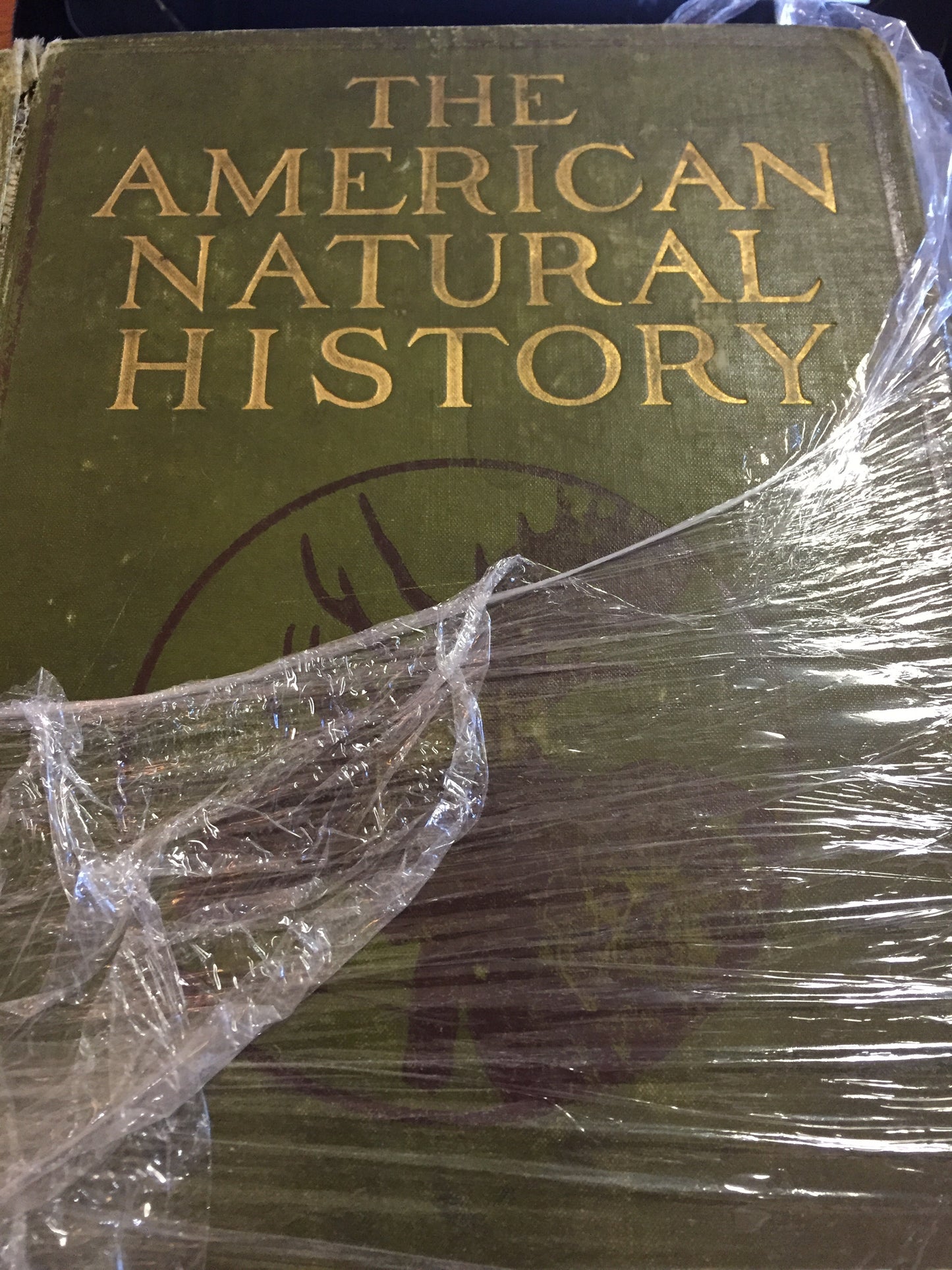 BOOKS - The American Natural History