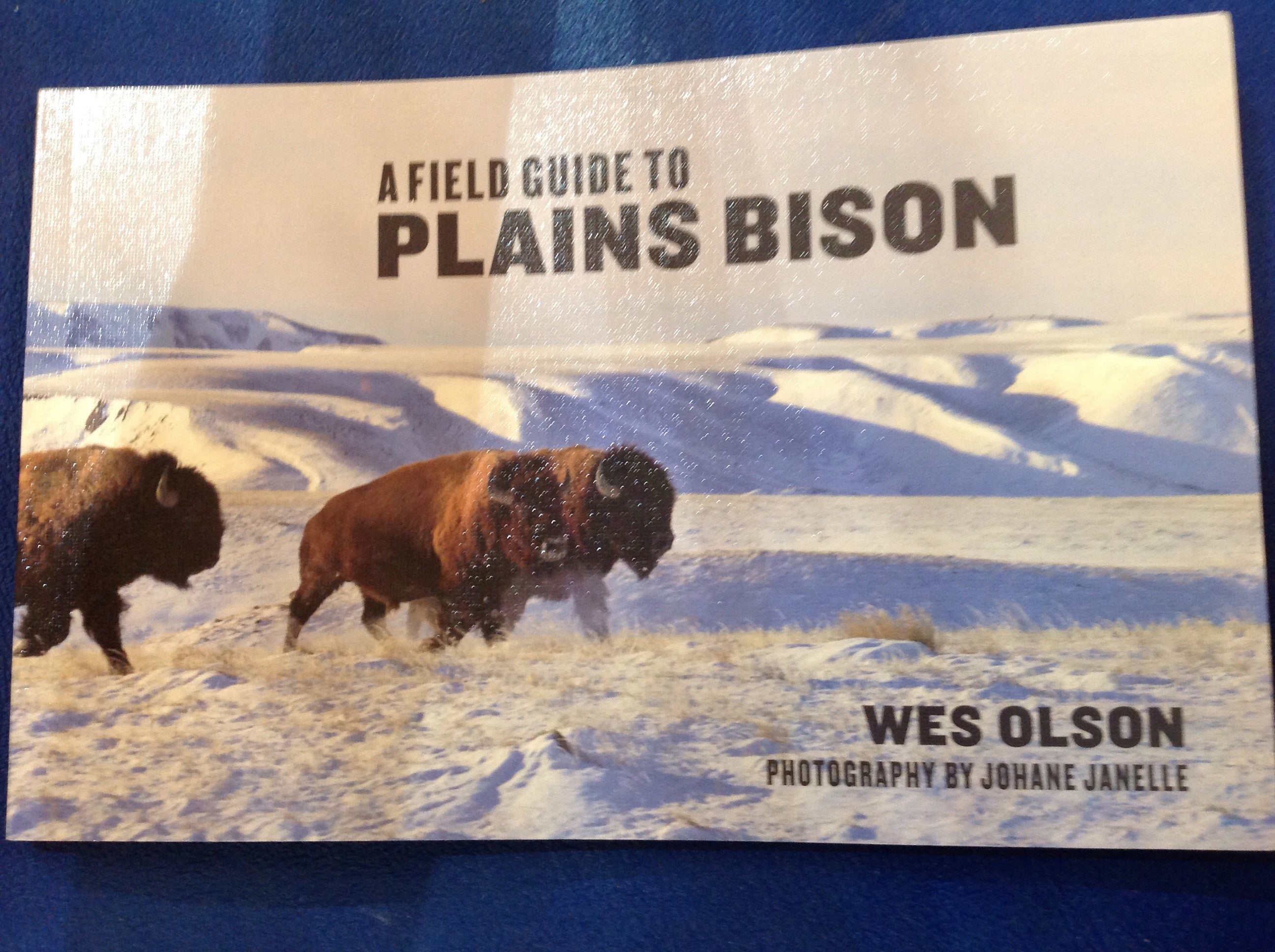 BOOKS - A Field Guide to Plains Bison