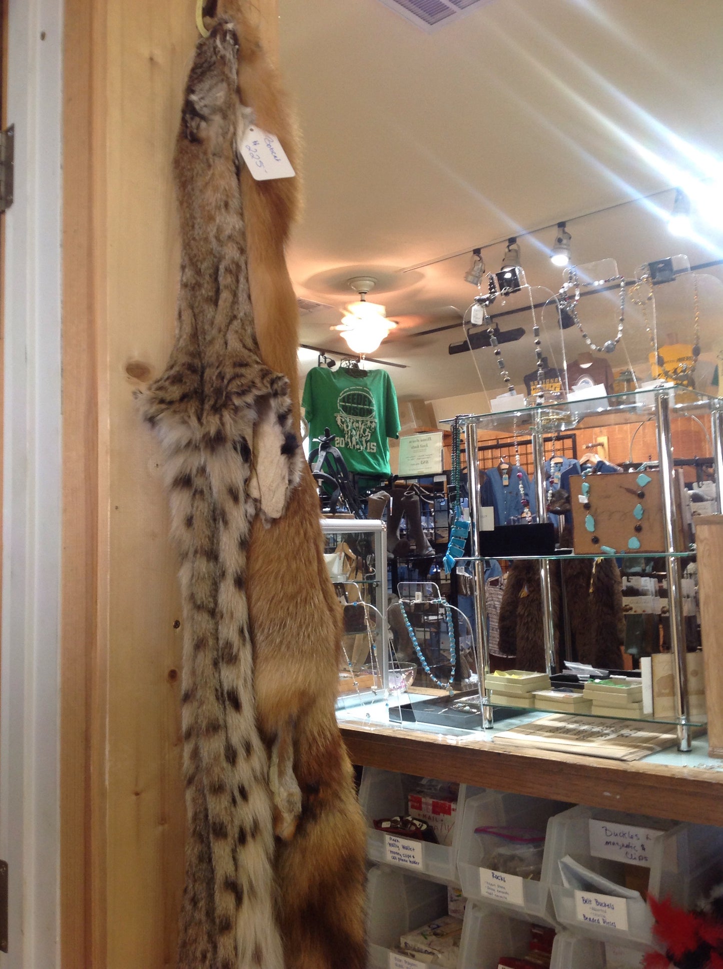 Furs, pelts and hides (other than bison)