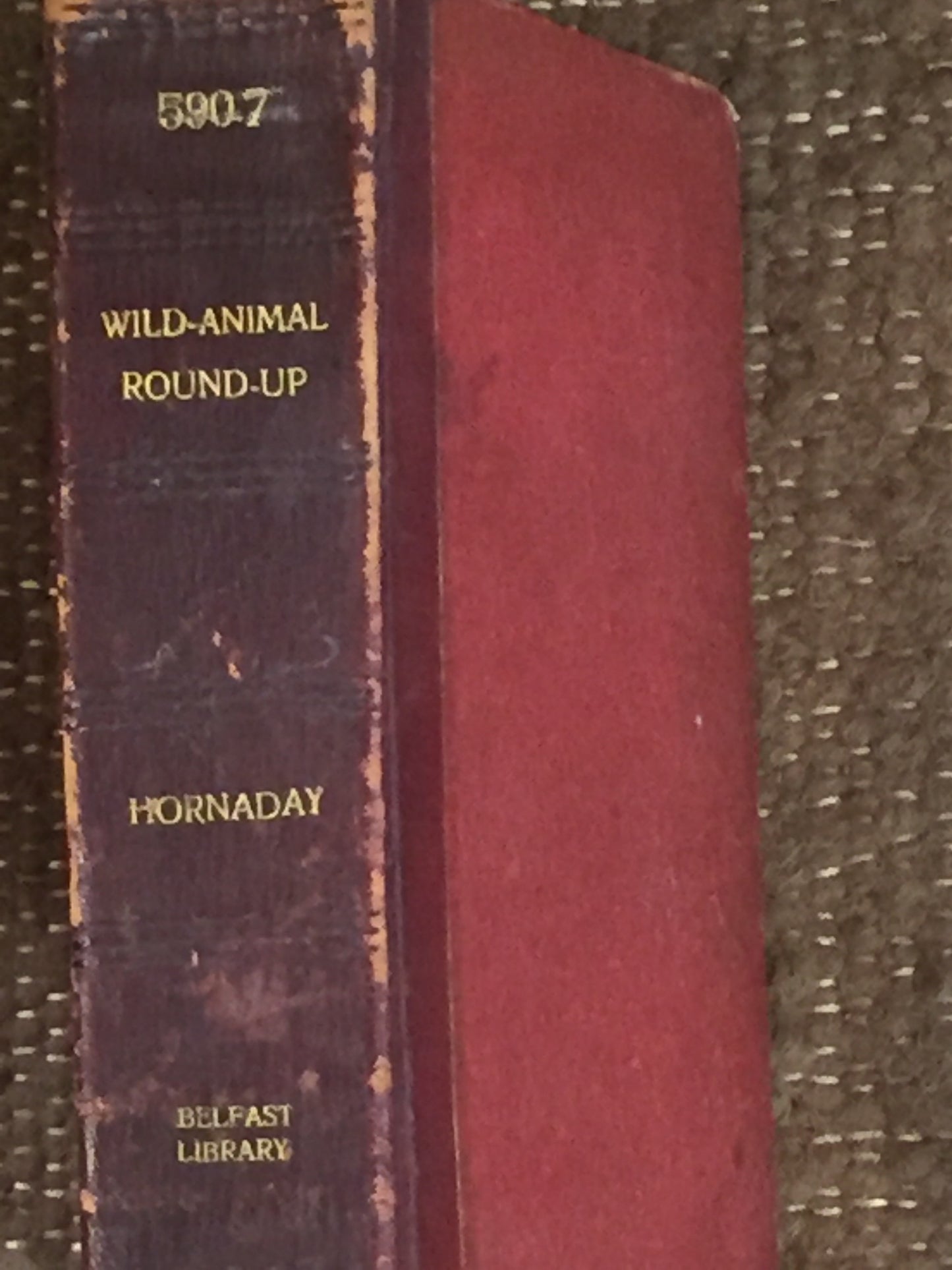 BOOKS - A Wild Animal Roundup by Hornaday