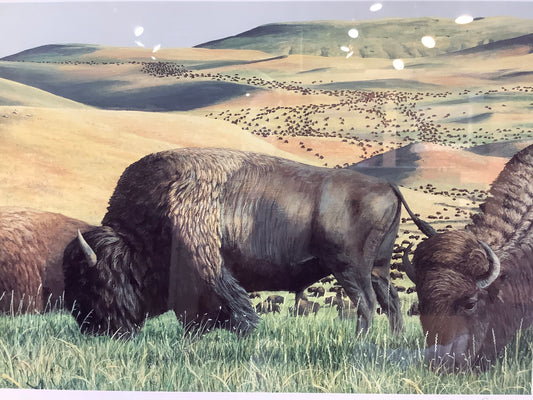 "Endless Plains, Endless Herds" Print
