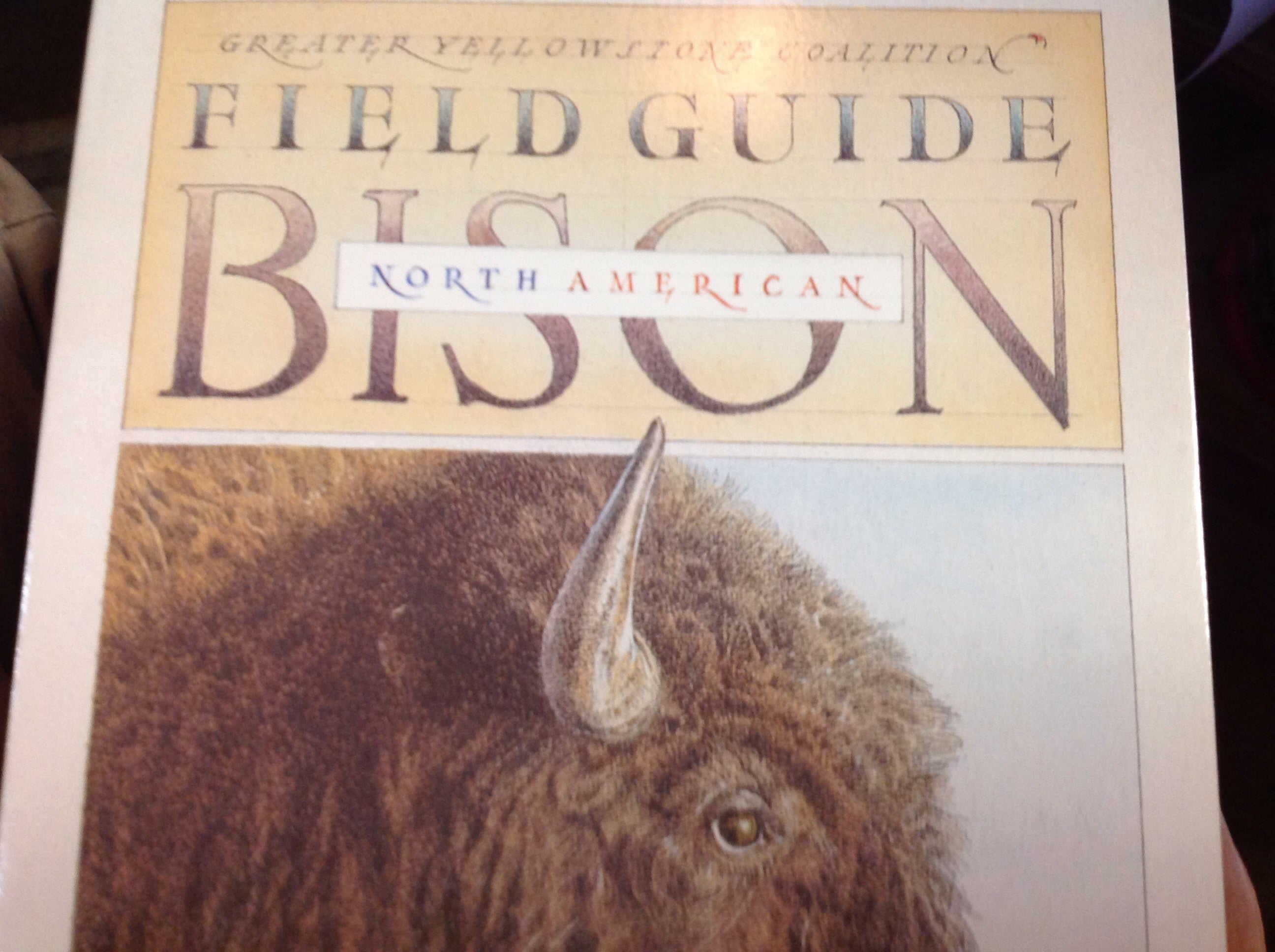 BOOKS - Field Guide: North American Bison