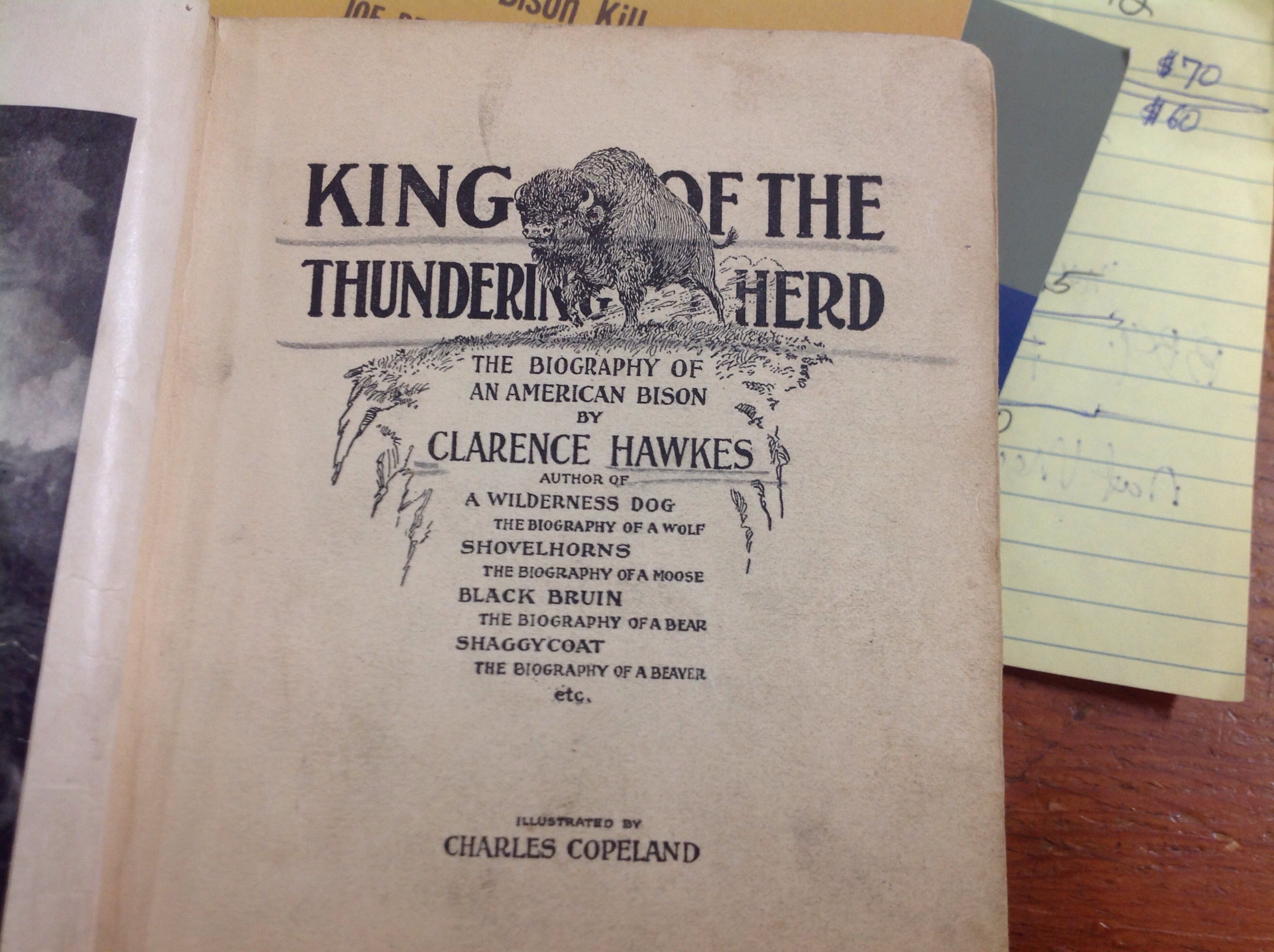 BOOKS - King Of The Thundering Herd