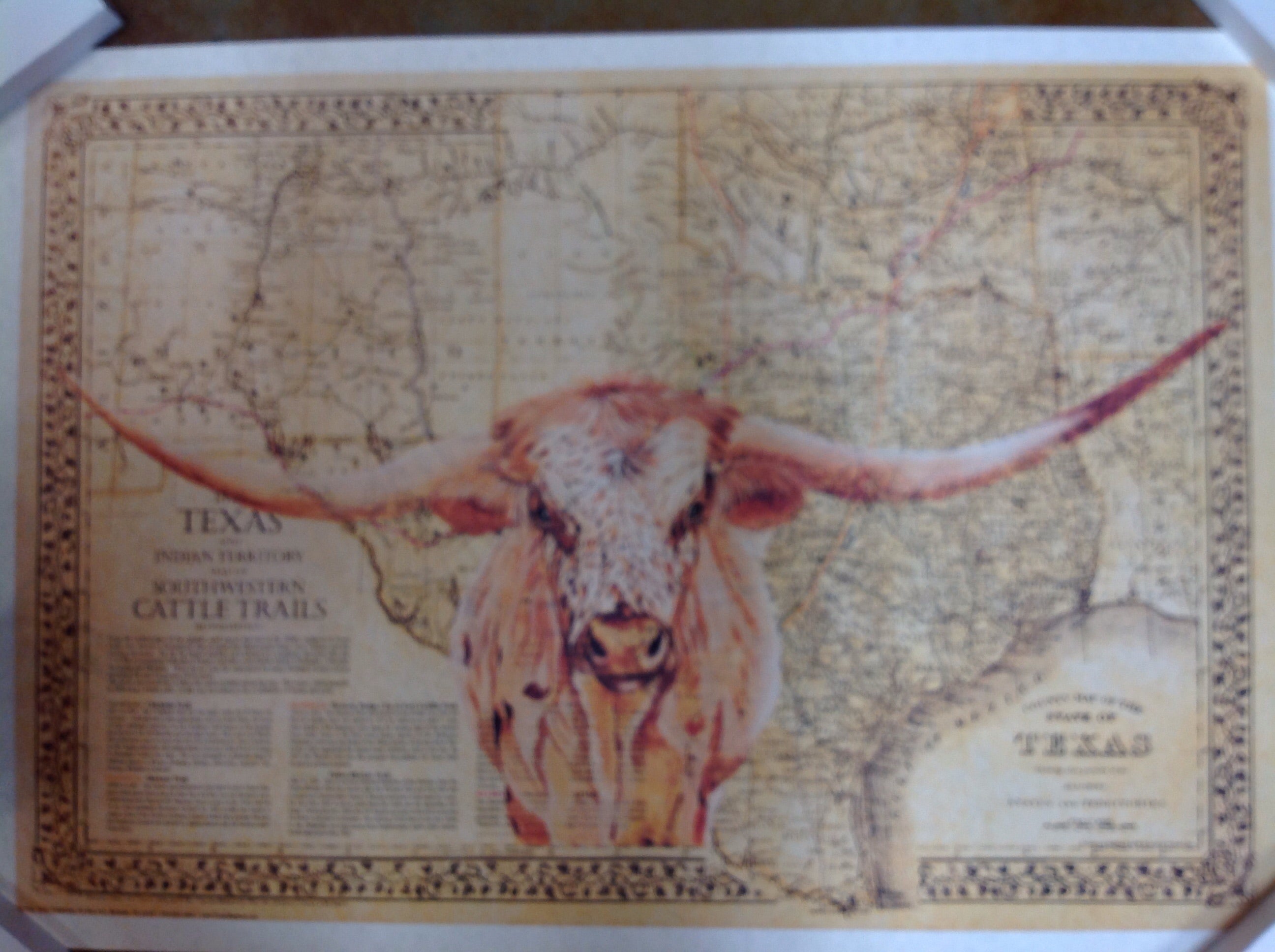 1876 Texas and Indian Territory Cattle Trails