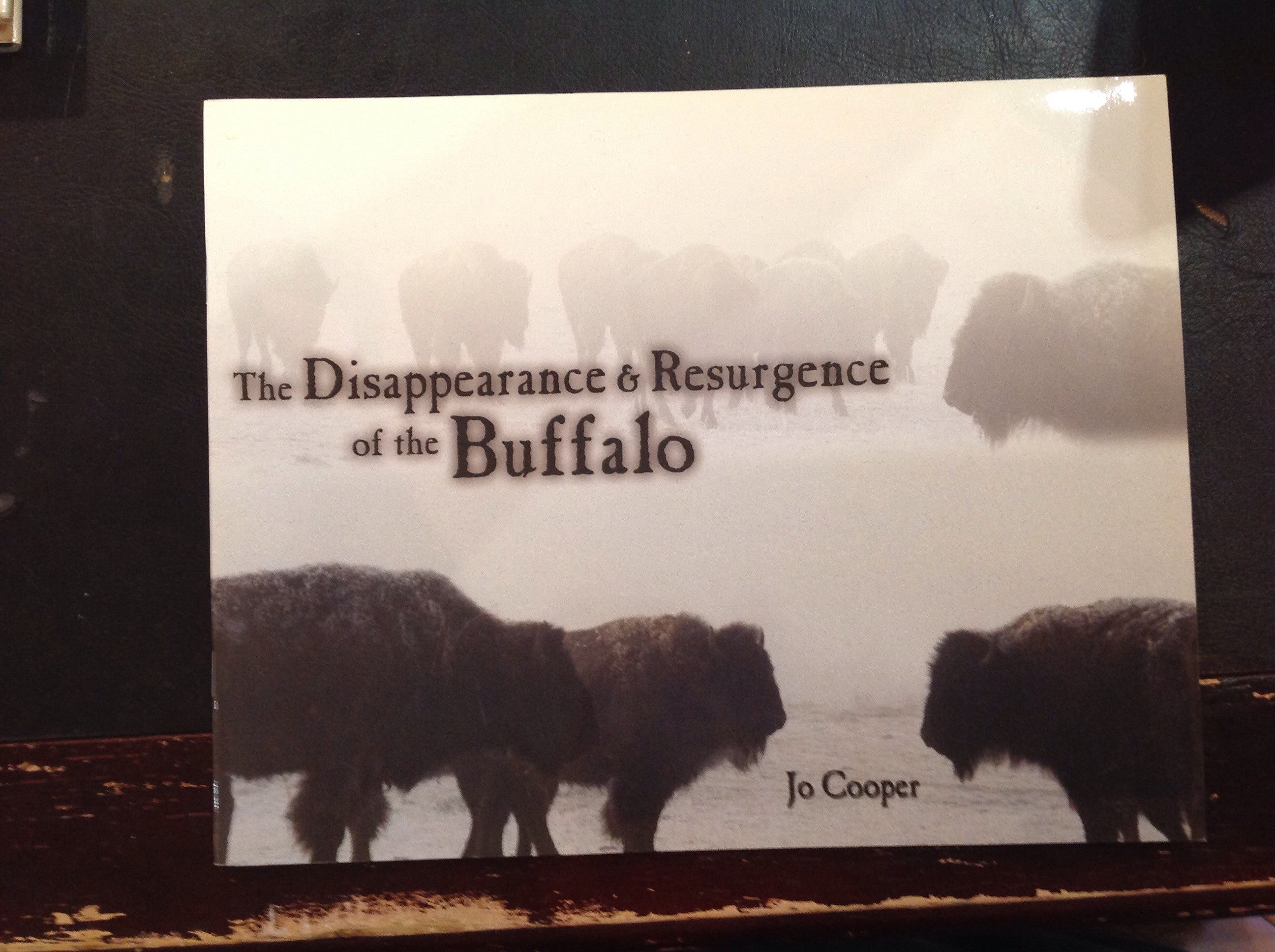 BOOKS - The Disappearance & Resurgence of the Buffalo