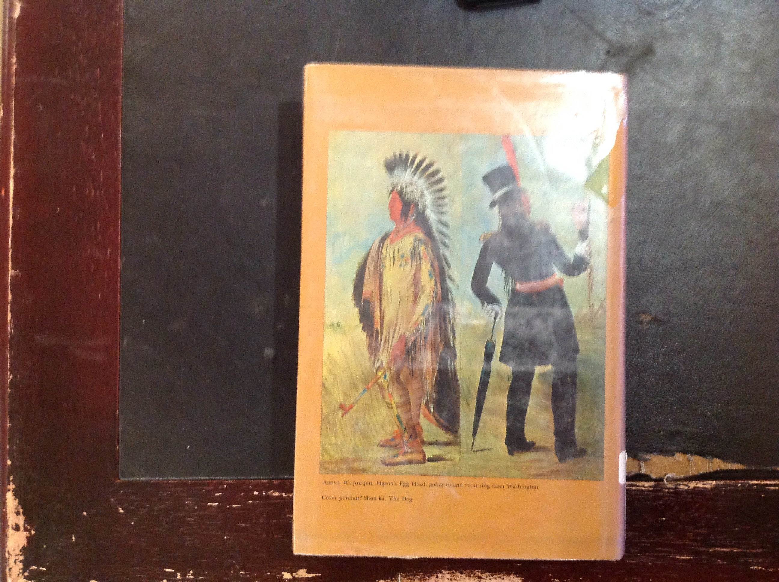 BOOKS - Letters and Notes on the Manners, Customs, and Conditions of the North American Indians