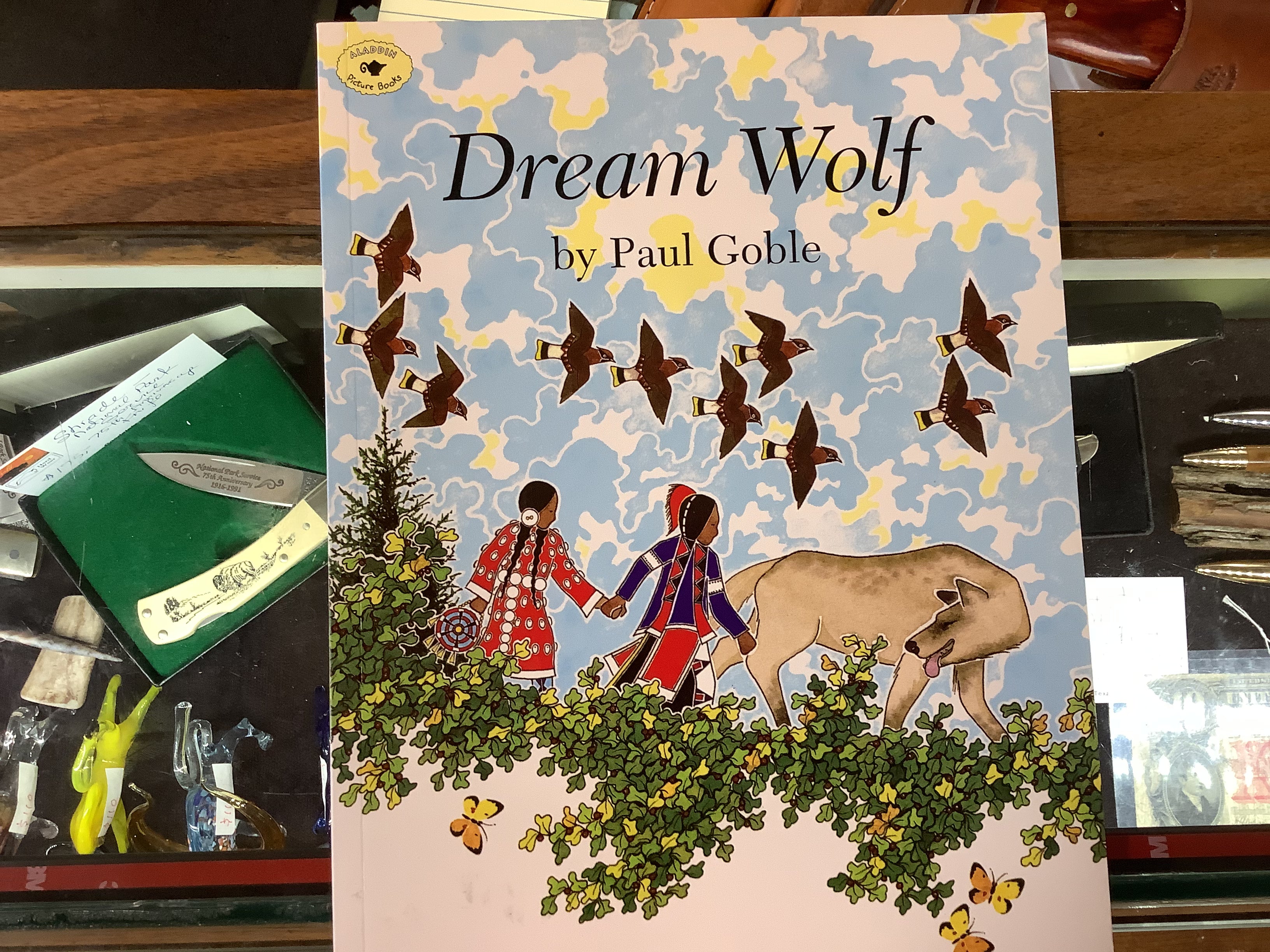 BOOKS - Dream Wolf by Paul Goble