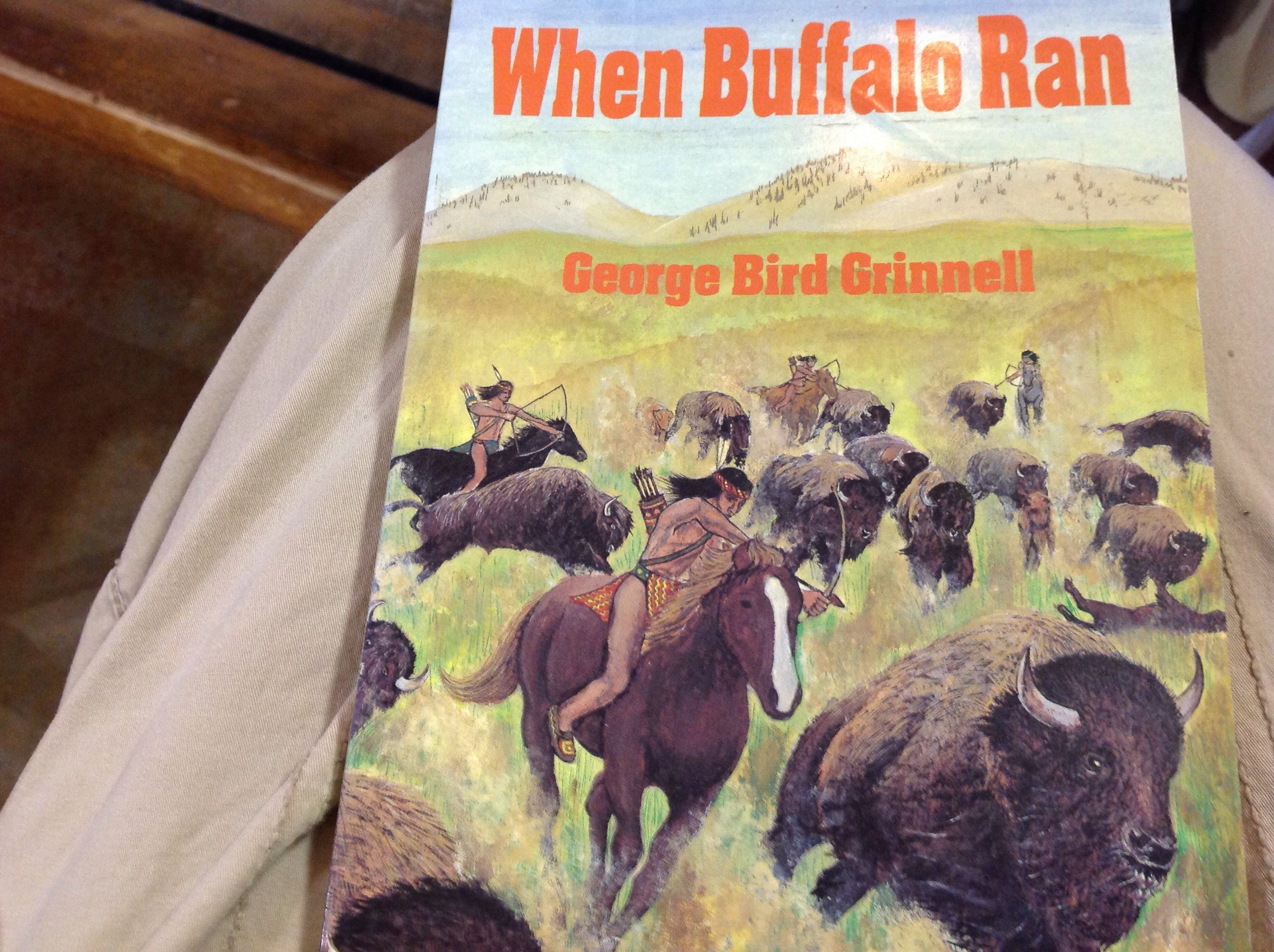 BOOKS - When Buffalo Ran