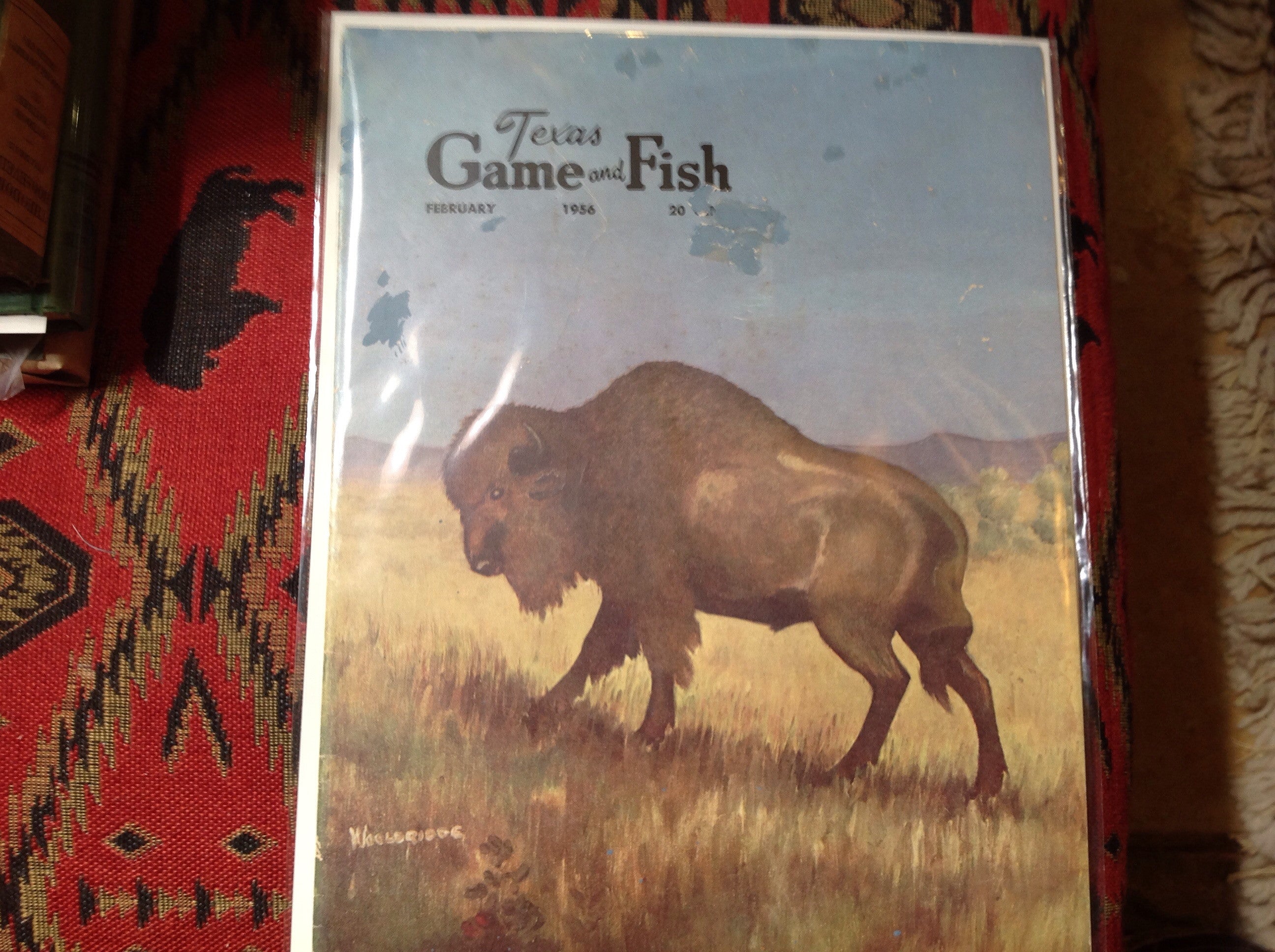 BOOKS - Texas Game and Fish