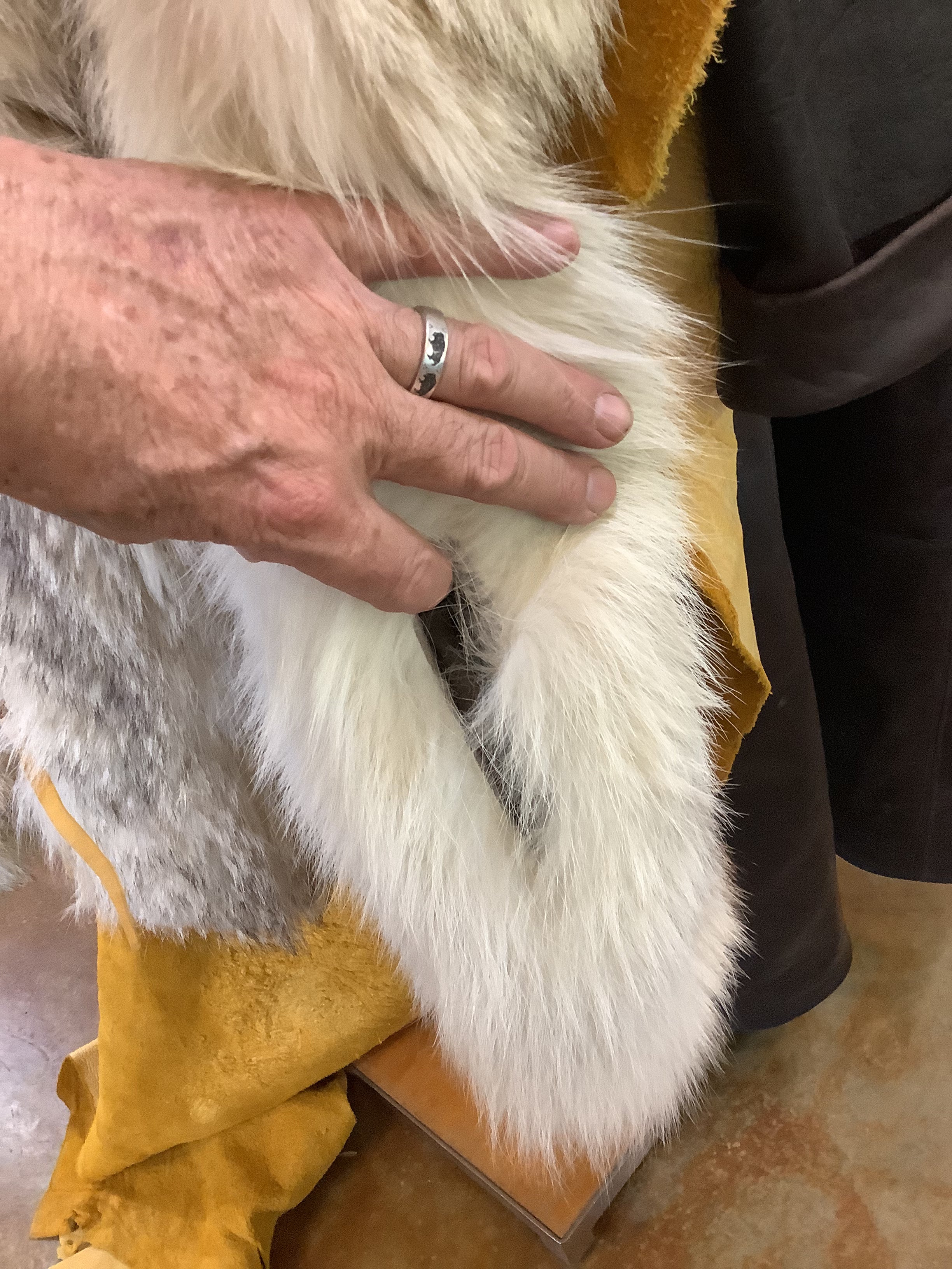 ONE OF A KIND - Vintage Arctic wolf pelt and suede leather; hand made; hand beaded, one-of-a-kind vest