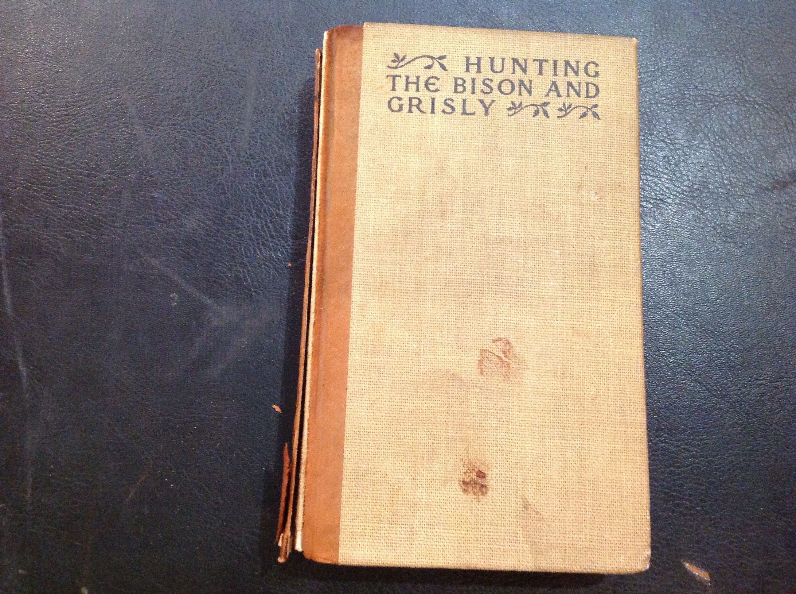 BOOKS - Hunting the Bison and Grisly