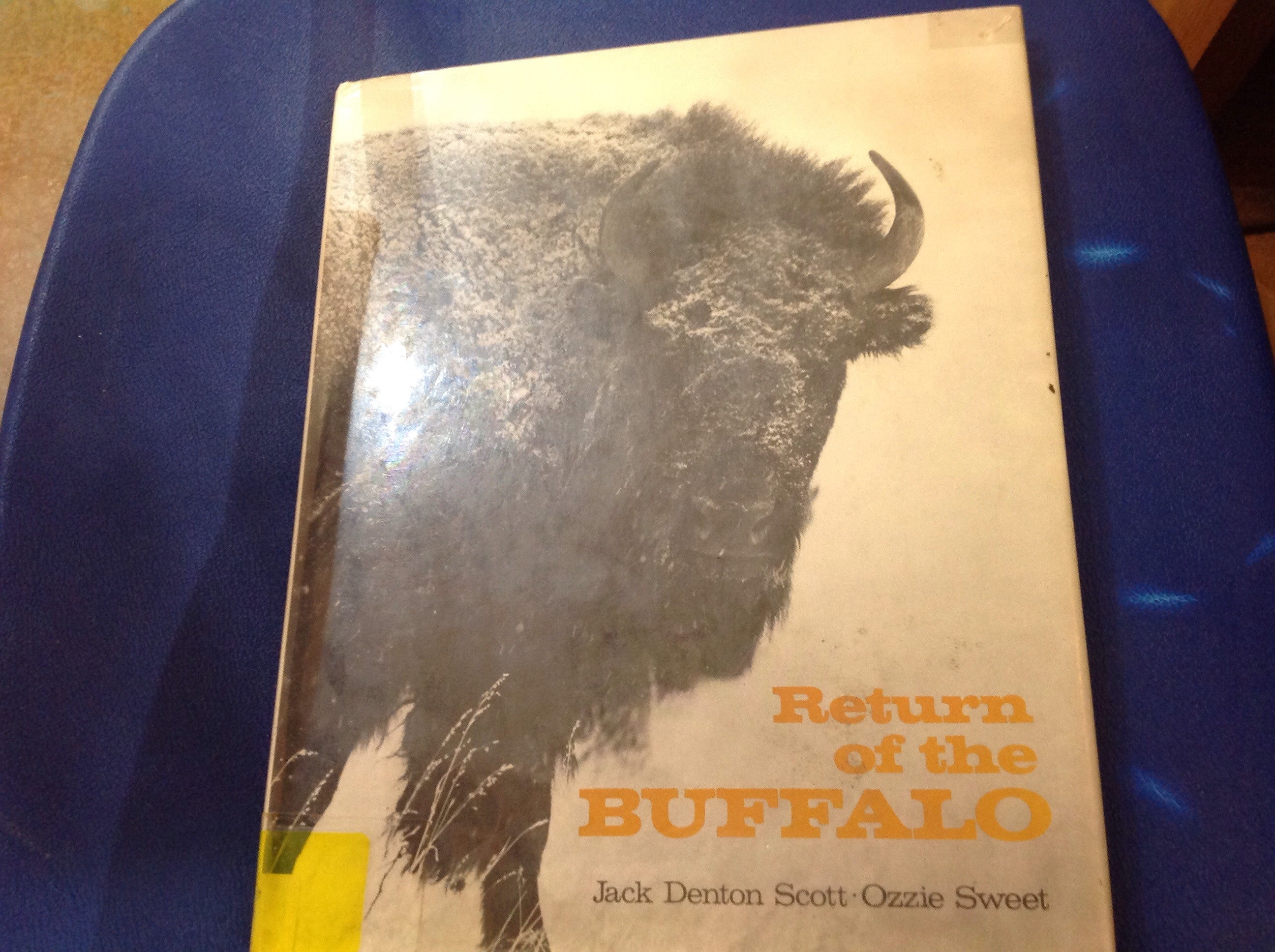 BOOKS - Return of the Buffalo