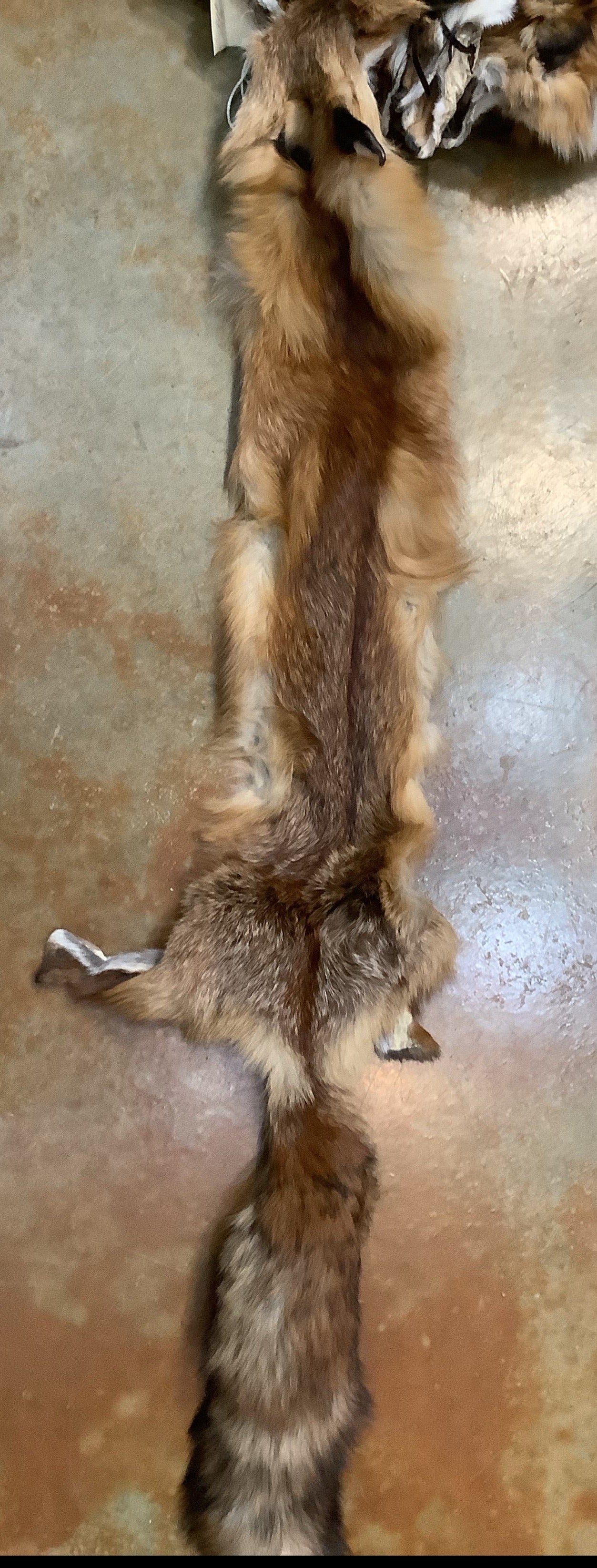 Tawney Red Fox Pelts - Special Purchase