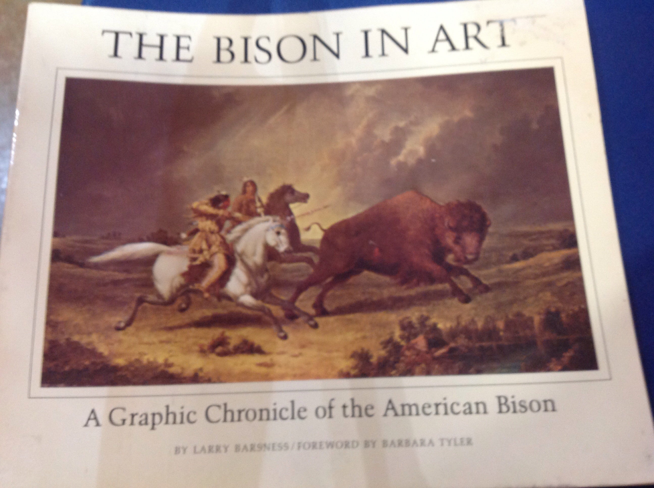 BOOKS - The Bison In Art