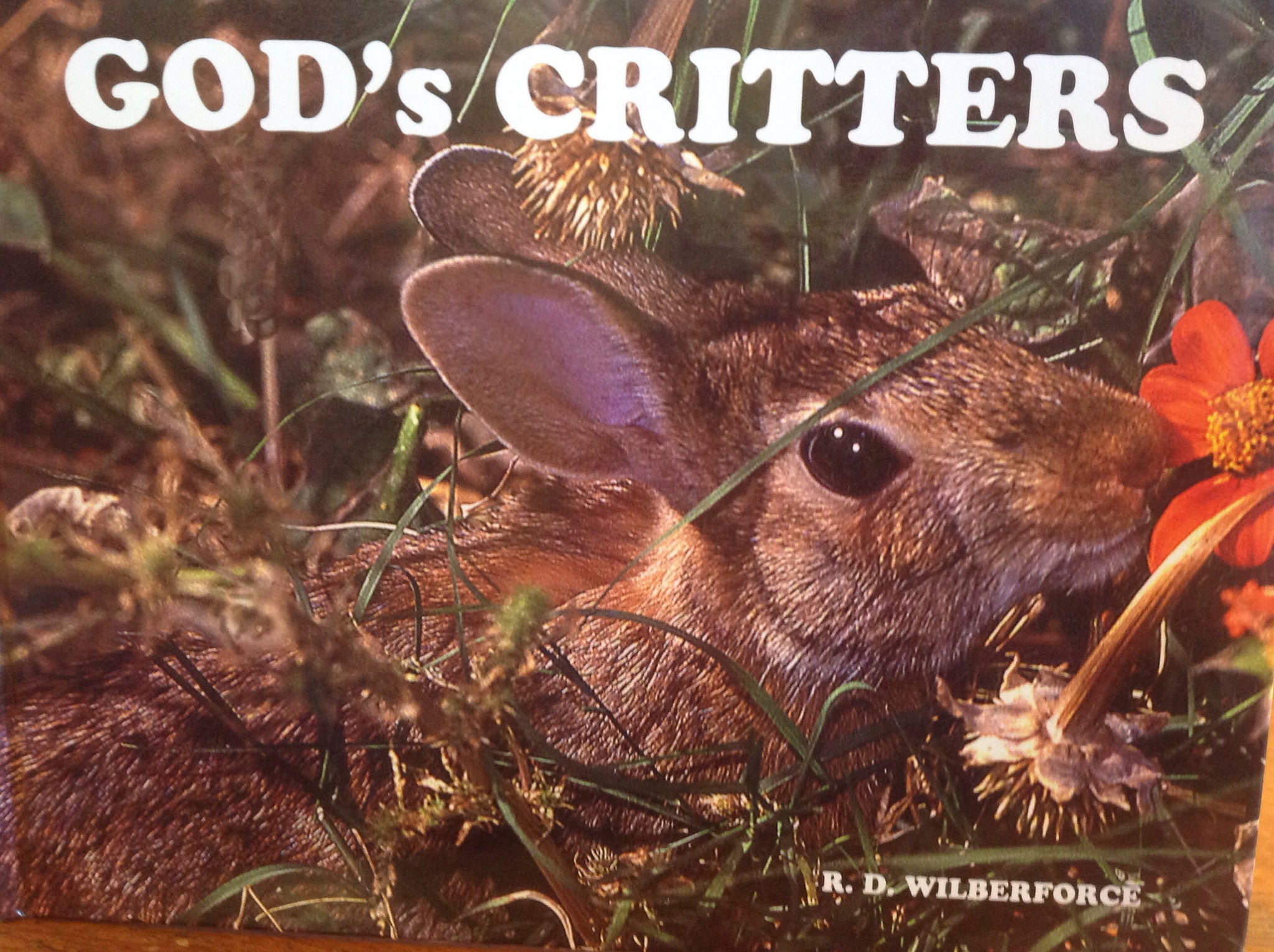 BOOKS - God's Critters/Critters De Dios