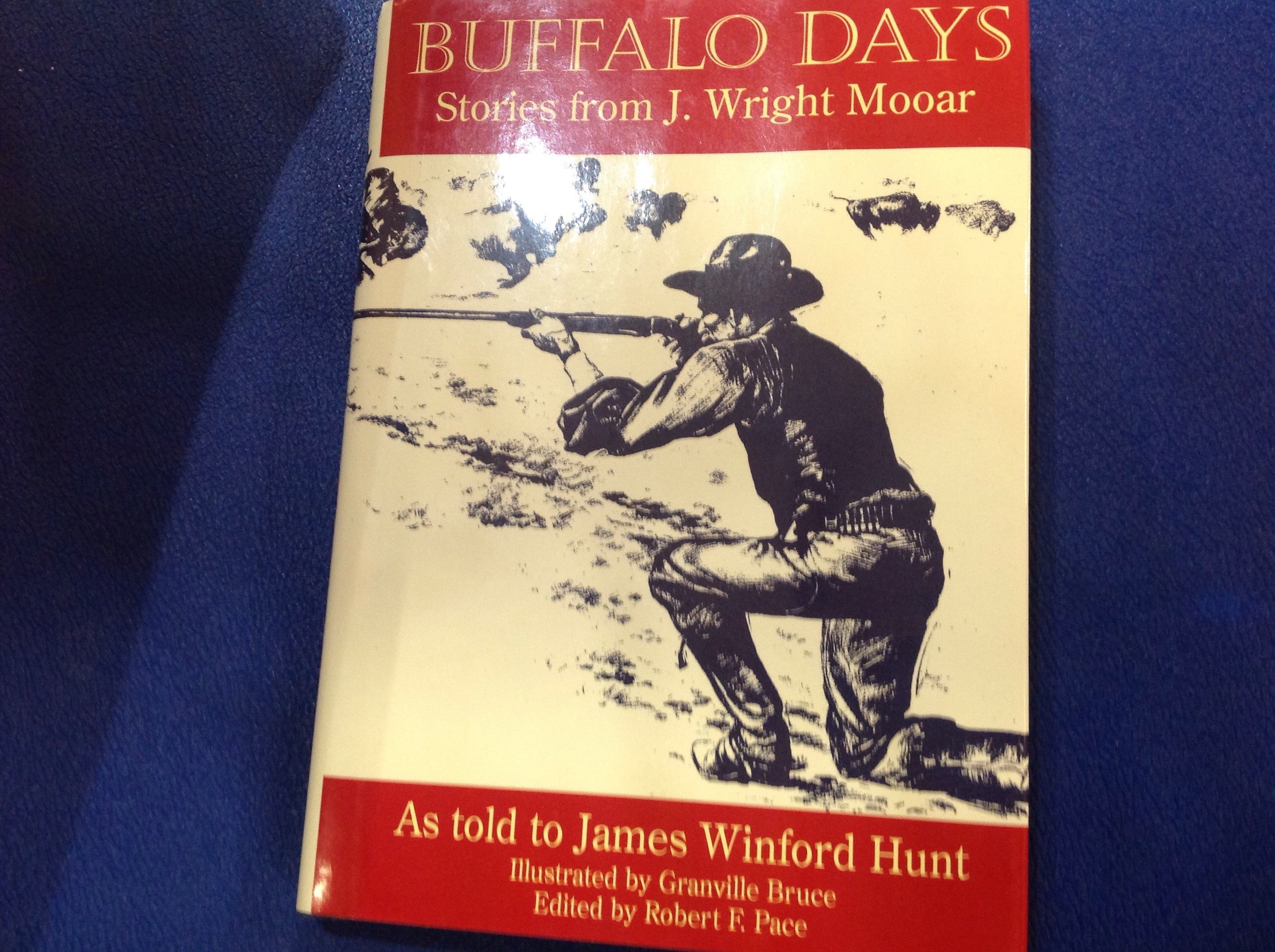 BOOKS - Buffalo Days: Stories From J. Wright Mooar