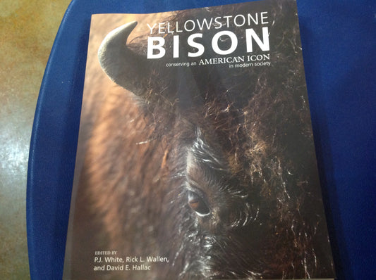 BOOKS - Yellowstone Bison