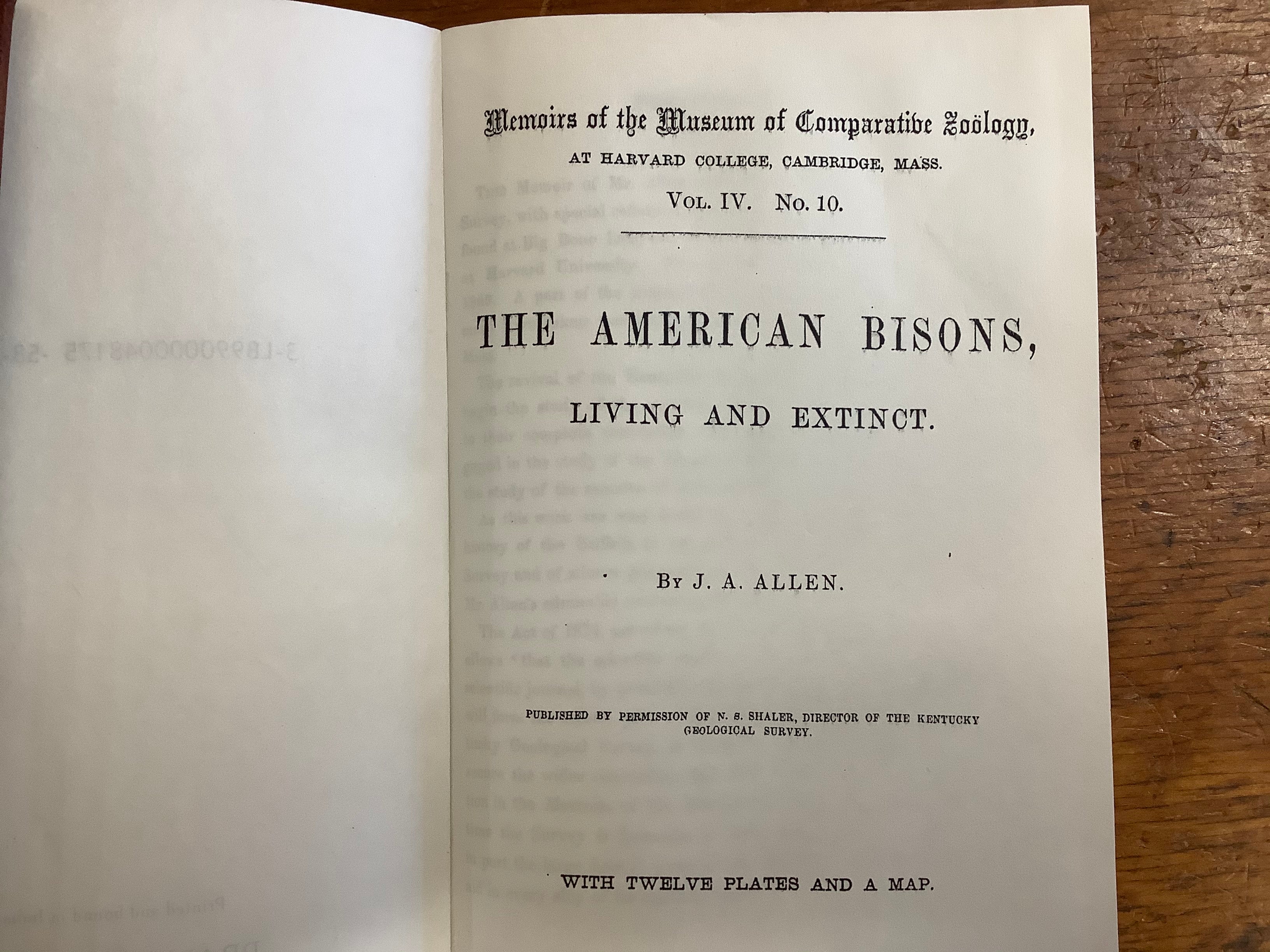 BOOKS - American Bisons, Living and Extinct    J. A. Allen