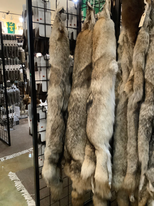 Coyote bolster pillows