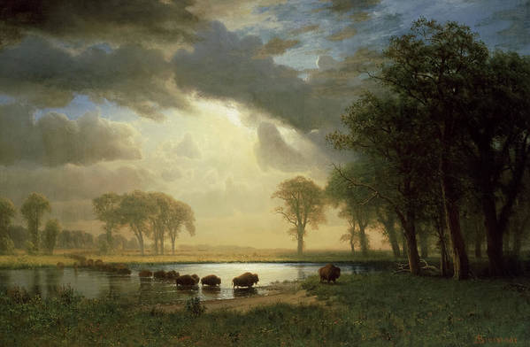 "Buffalo Trail" - Bierstadt